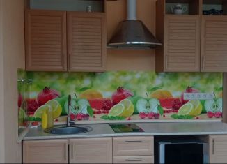 Таунхаус в аренду, 60 м2, Краснодарский край, садоводческое товарищество Луч, уч23