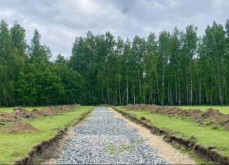 Продажа участка, 7 сот., деревня Ушакова, Вербовый переулок, 5