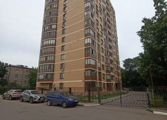 Сдам в аренду 1-ком. квартиру, 50.4 м2, посёлок городского типа Удельная, Полевая улица, 52