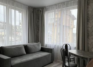 Сдается 2-комнатная квартира, 49 м2, Сочи, Виноградная улица, 121/6, микрорайон Новый Сочи