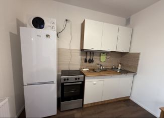 Сдаю в аренду квартиру студию, 26 м2, Санкт-Петербург, Муринская дорога, 8к1, метро Академическая
