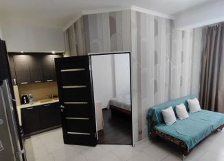 Сдача в аренду 2-ком. квартиры, 40 м2, Сочи, Молодогвардейская улица, 2/6, микрорайон Соболевка