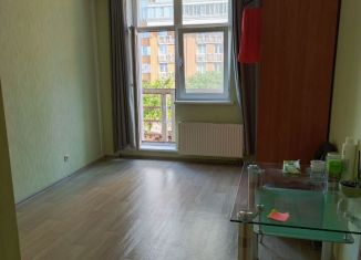 Продается квартира студия, 26 м2, Санкт-Петербург, проспект Просвещения, 43, метро Озерки