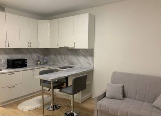 Продается квартира студия, 19.6 м2, Москва, квартал № 100, 1к2, ЗАО