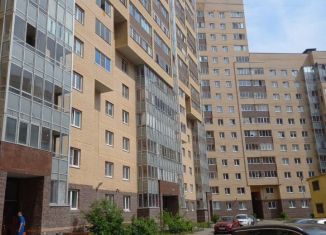 Продаю квартиру студию, 29.4 м2, деревня Новое Девяткино, Флотская улица, 9, ЖК Подкова