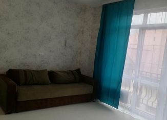 Сдача в аренду квартиры студии, 25 м2, село Черешня, Владимировская улица, 141