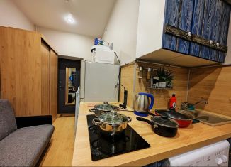 Сдам квартиру студию, 17.8 м2, Ивантеевка, Санаторный проезд, 2