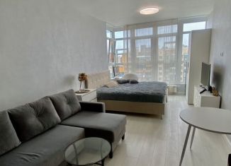 Продажа квартиры студии, 28.2 м2, Санкт-Петербург, улица Адмирала Трибуца, 7, муниципальный округ Южно-Приморский