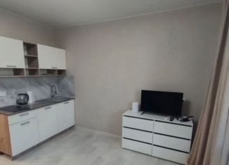 Квартира в аренду студия, 28 м2, Кингисепп, улица Жукова, 18Ак2