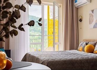 Квартира в аренду студия, 26 м2, Сочи, улица Искры, 88к3, микрорайон Кудепста