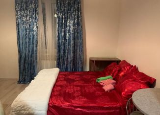 Сдается квартира студия, 24 м2, Люберцы, Инициативная улица, 7В, ЖК Облака