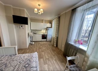 Продаю квартиру студию, 29.4 м2, Кудрово, Областная улица, 1