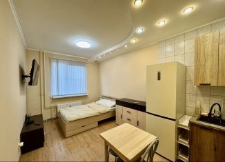 Сдам квартиру студию, 22.6 м2, Кингисепп, улица Десантника Александрова, 4к4