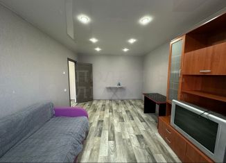 Сдается в аренду однокомнатная квартира, 37.7 м2, Боровичи, Ленинградская улица, 12