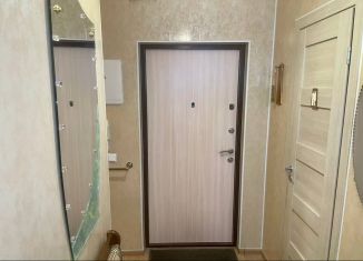 Сдается однокомнатная квартира, 40 м2, Санкт-Петербург, проспект Ветеранов, 169к2, метро Проспект Ветеранов