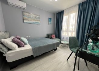 Сдам 1-ком. квартиру, 28 м2, Сочи, улица Искры, 88к1, микрорайон Кудепста