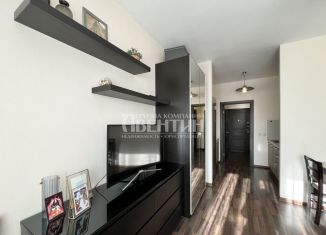 Продается квартира студия, 27.5 м2, Санкт-Петербург, Среднерогатская улица, 9, ЖК Триумф Парк
