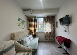 Продам квартиру студию, 20.9 м2, Сочи, Виноградная улица, 224/11, микрорайон Мамайка