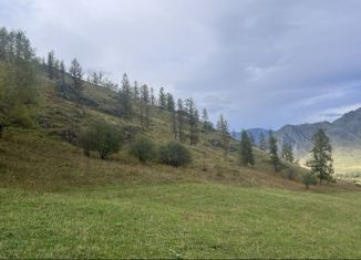 Продам участок, 150 сот., Шашикманское сельское поселение