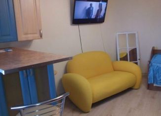 Сдача в аренду квартиры студии, 27.2 м2, Санкт-Петербург, Наличная улица, 51, метро Приморская