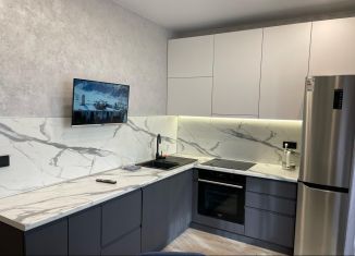 Сдача в аренду однокомнатной квартиры, 40 м2, Благовещенск, улица Ломоносова, 167