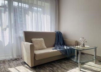 Продажа 2-ком. квартиры, 42.4 м2, Челябинск, Социалистическая улица, 66, Металлургический район