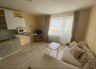 Сдам квартиру студию, 30 м2, городской посёлок Янино-1, Голландская улица, 10