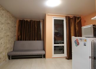 Сдача в аренду квартиры студии, 25 м2, Санкт-Петербург, Вилькицкий бульвар, 6, метро Приморская