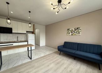 Продажа квартиры студии, 25.8 м2, Сочи, Восточная улица, 6, микрорайон Мамайка