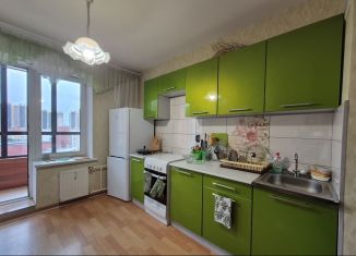 Однокомнатная квартира в аренду, 42 м2, посёлок Парголово, Заречная улица, 37