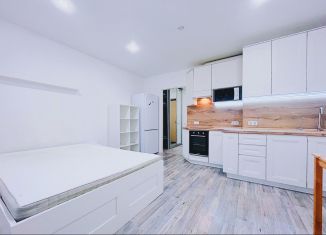 Сдается в аренду квартира студия, 25 м2, Мурино, Екатерининская улица, 2, ЖК Виктория