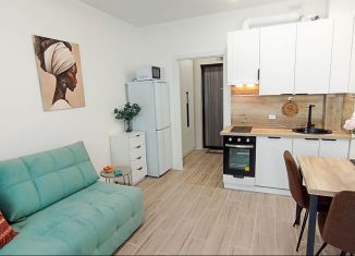 Квартира в аренду студия, 23 м2, Санкт-Петербург, улица Чирикова, 5, метро Приморская