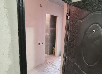 Продается квартира студия, 27 м2, посёлок Парголово, улица Архитектора Белова, 6к5, ЖК Парнас