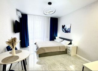 Сдам квартиру студию, 25 м2, Сочи, улица Искры, микрорайон Кудепста