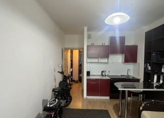 Квартира на продажу студия, 24.1 м2, Санкт-Петербург, улица Адмирала Черокова, муниципальный округ Южно-Приморский