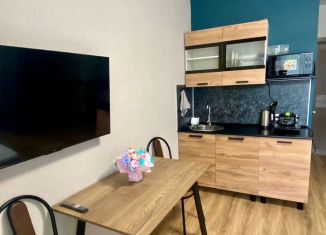 Сдается в аренду квартира студия, 18 м2, Республика Башкортостан, Нежинская улица, 1