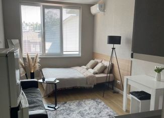 Продаю квартиру студию, 25 м2, Сочи, Волжская улица, 72А, микрорайон Мамайка