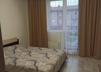 1-комнатная квартира в аренду, 30 м2, посёлок Голубево, Лазурная улица, 12