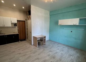 Продаю квартиру студию, 22 м2, Сарапул, Молодёжная улица, 1