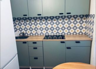 Сдаю 1-комнатную квартиру, 33 м2, посёлок Парголово, Заречная улица, 38к2