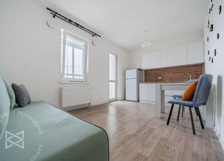 Квартира в аренду студия, 24 м2, Санкт-Петербург, Чарушинская улица, 24к1, метро Академическая