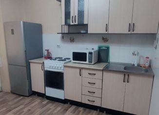 Сдача в аренду 1-комнатной квартиры, 43.7 м2, Краснодар, улица им. Героя Яцкова И.В., 10, микрорайон Восточно-Кругликовский