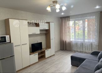 Квартира в аренду студия, 26 м2, Чебоксары, улица Мате Залка, 16к1