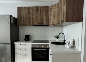 Сдаю квартиру студию, 25.4 м2, Краснодарский край, улица Генерал-лейтенанта Александра Сапрунова, 37к1