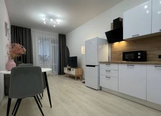Сдаю в аренду квартиру студию, 24.6 м2, Санкт-Петербург, Тосина улица, 6, Фрунзенский район