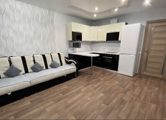 1-ком. квартира в аренду, 40 м2, Тюменская область, улица Газовиков, 63