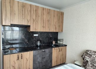 Аренда 1-комнатной квартиры, 30 м2, Краснодар, улица Генерала Трошева, 21, микрорайон Восточно-Кругликовский