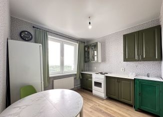 Продается 1-комнатная квартира, 36.8 м2, посёлок Шушары, Московское шоссе, 258к1