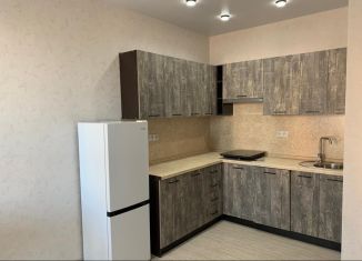 Сдача в аренду однокомнатной квартиры, 45 м2, Майкоп, улица К.А. Васильева, 2к2