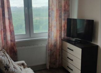 Квартира в аренду студия, 25 м2, Санкт-Петербург, Чарушинская улица, 26к1, метро Академическая